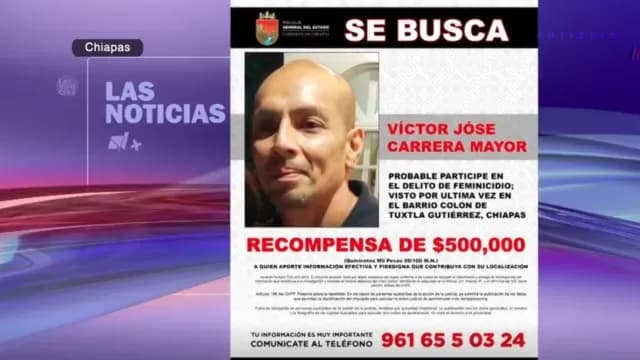 ficha busqueda