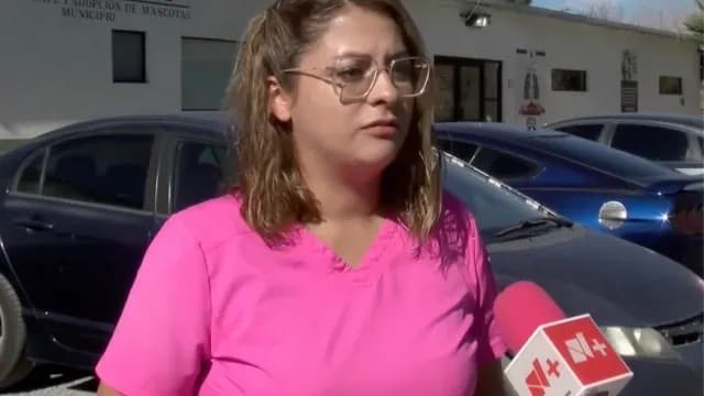 Médico Veterinaria Pide Cuidar Aparición de Secreciones en Mascotas en Invierno