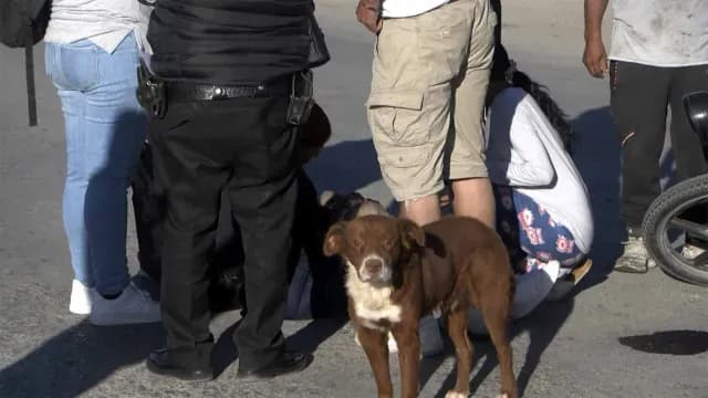 "Canelo" se quedó junto a su dueña hasta que llegó la ambulancia.
