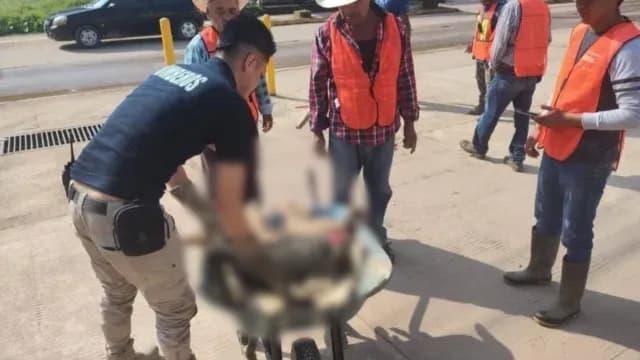 Hallan un perro desollado en Ahuacatlán, Puebla. Foto: Franco Arteaga | N+