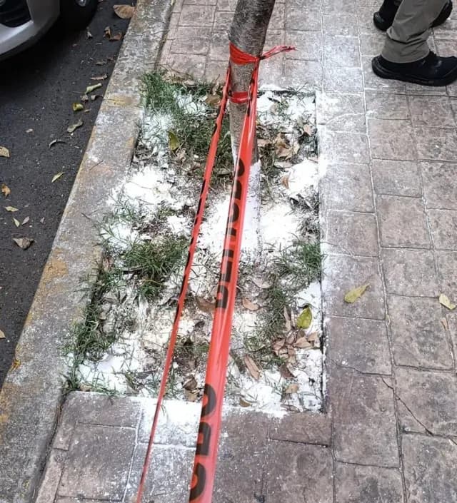 Polvo blanco colocado en calles de la Escandón