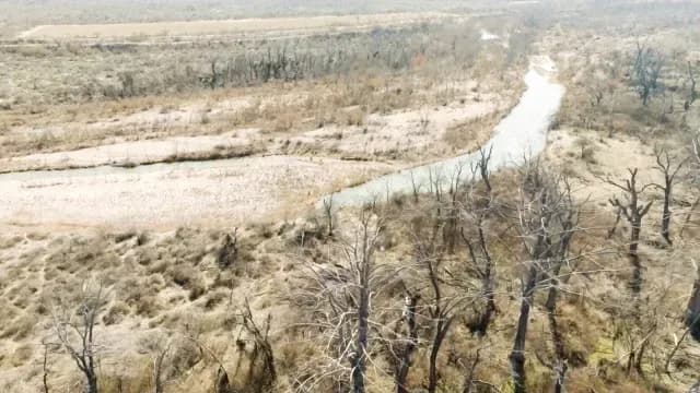Río afectado por la minería