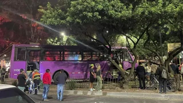 Camión a Exceso de Velocidad Choca Contra Juegos Infantiles en Parque de Coyoacán; Hay Heridos