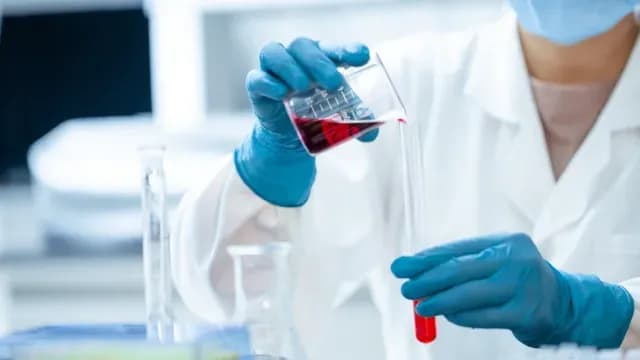 La Cofepris lanzó recomendaciones contra esta bacteria. Foto: Pixabay | Ilustrativa