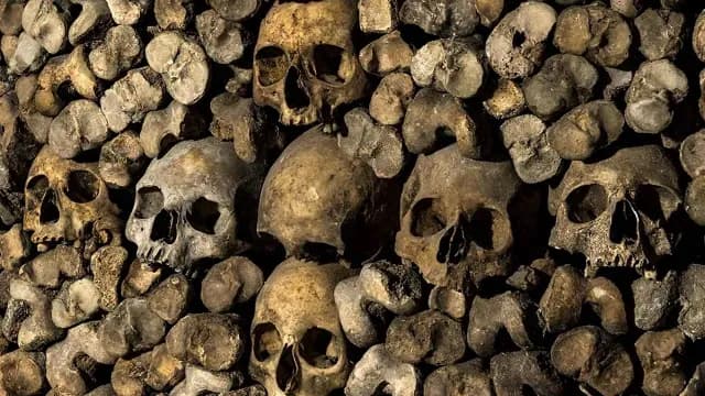 Catacumbas de París que recorren el corazón subterráneo de la capital francesa. Foto: Facebook @CatacombesParisOff
