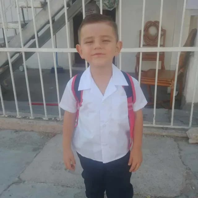 Niño de 4 años Muere Tras Ser Atacado por Pitbull Mientras Jugaba