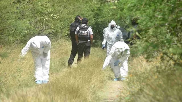Equipo forense labora en una zona cerca de Chilpancingo en octubre de 2022. Foto: Cuartoscuro | Archivo