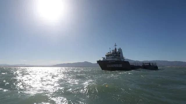 Semar y Sea Shepherd avanzan en la protección de la vaquita marina