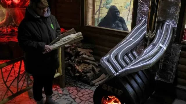 Tony, el gorila del zoológico de Kiev