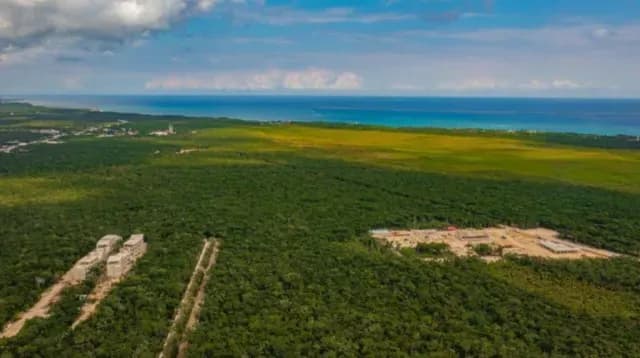 La Guardia Nacional protege la nueva Área de Protección de Flora y Fauna Jaguar
