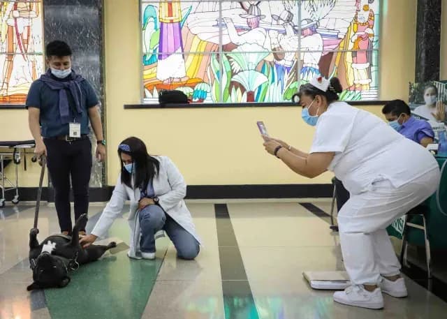 Cuco, el adorable perro que trabaja en el IMSS