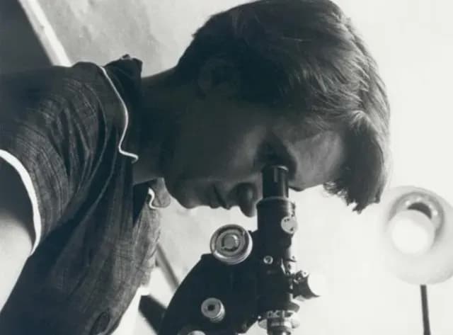 Rosalind Franklin mira por un microscopio