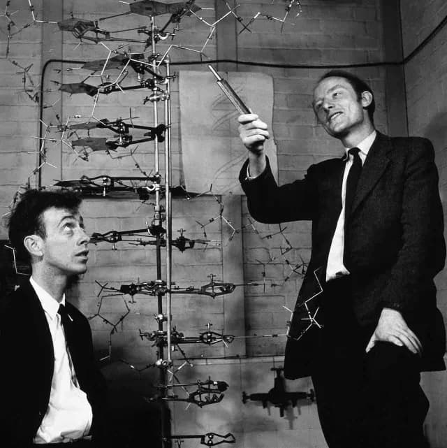 Watson y Crick ante un modelo del ADN