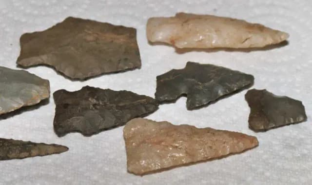 Colección de flechas prehistóricas de América
