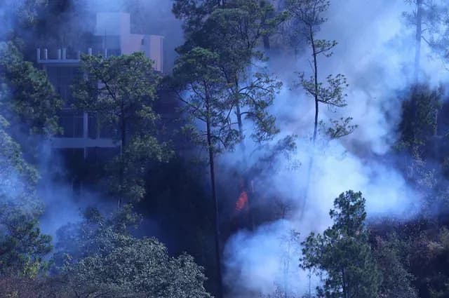 Incendio forestal en Morelos