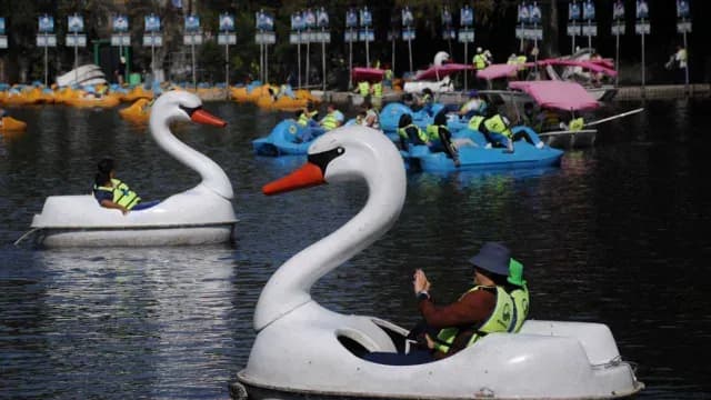El Zoológico de Chapultepec celebrará 100 años en el 2023.