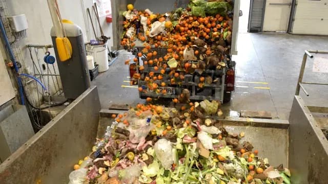 Al año, se desperdician 931 millones de toneladas de comida