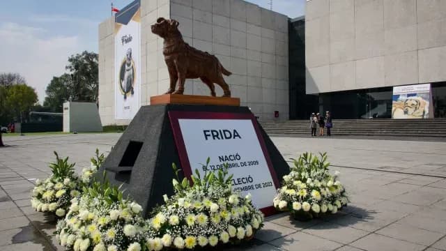 Frida representó a muchos perros que trabajaron con la Marina en diversos eventos