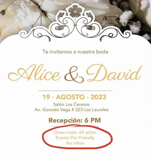 Invitación a boda permite perros pero no niños