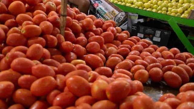tomates compra venta en mercado