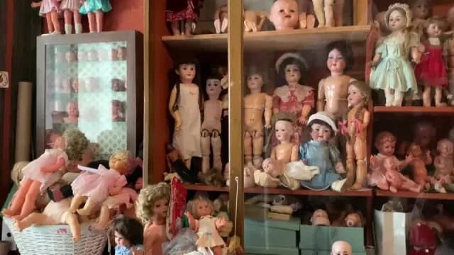 La colección del médico de juguetes, Manfred Reichel, en Viena