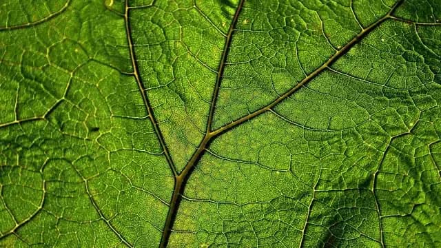 El estudio se publicó en un artículo en Nature Communications. Foto: Pixabay | Ilustrativa