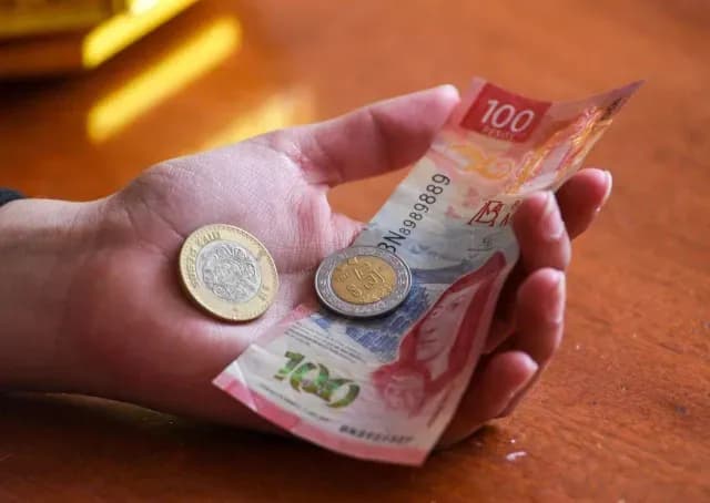 Monedas y billetes mexicanos en observación