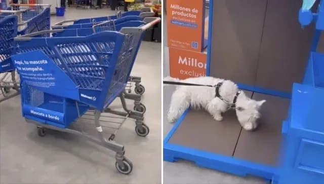 Walmart pondrá carritos de supermercado aptos para mascotas