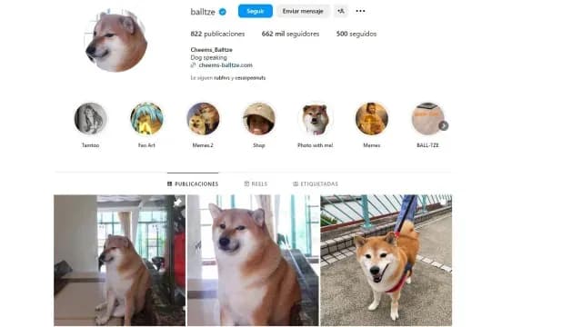 Instagram oficial del perrito Cheems