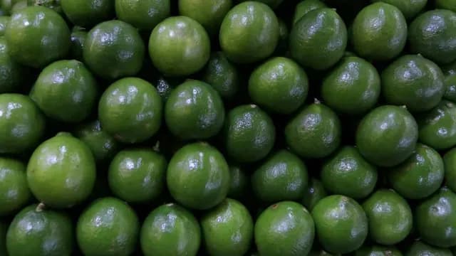 Limones a la venta