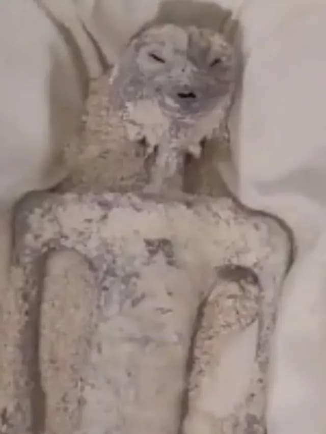 Captan a Detalle a Extraterrestres que Presentó Maussan: Video