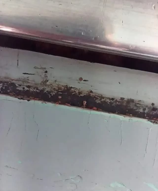 Denuncian Supuesta Plaga de Chinches en el Metro CDMX