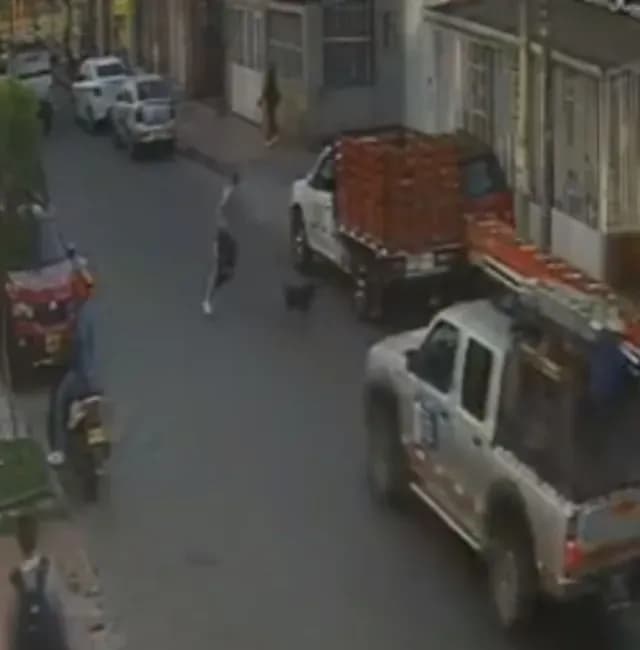 Joven Salva a su Perrito de Ser Atropellado y Pierde Una Pierna