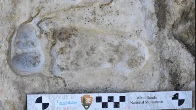 Huella humana fosilizada hallada en Nuevo México