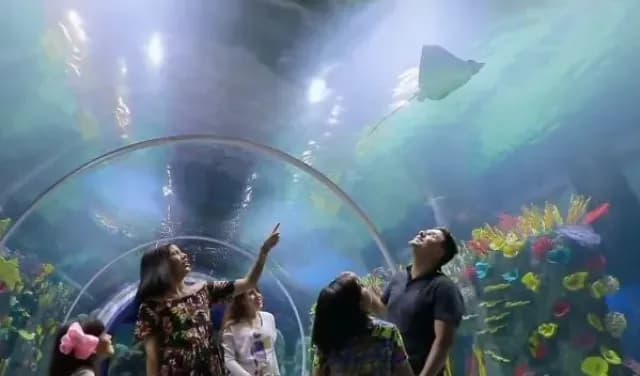 Acuario de Parque Tepeyac