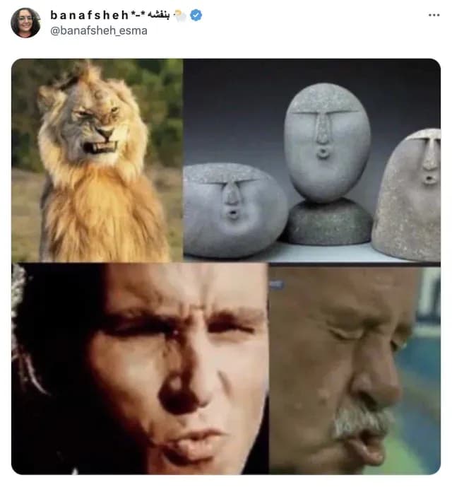 Usuaria responde con meme a video de hombre que se apuñala solo