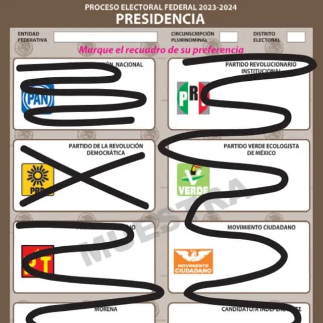 Cómo votar de forma correcta en las Elecciones 2024