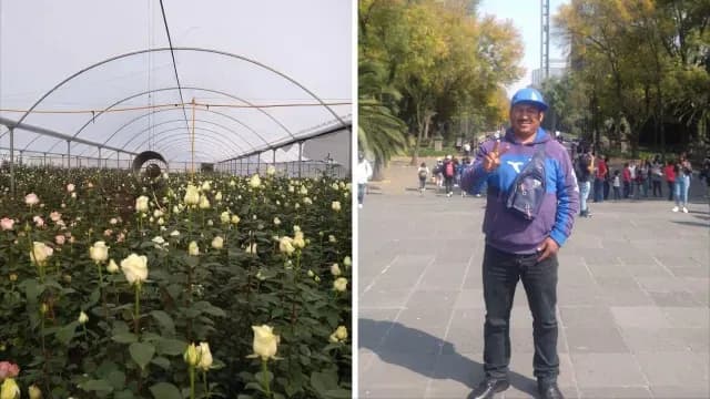 José Alberto Cazabal, a sus 37 años, tiene un campo de rosas blancas