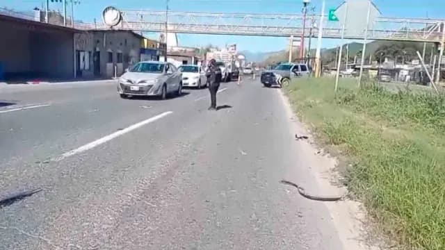 Al lugar acudieron elementos de Protección Civil, así como paramédicos