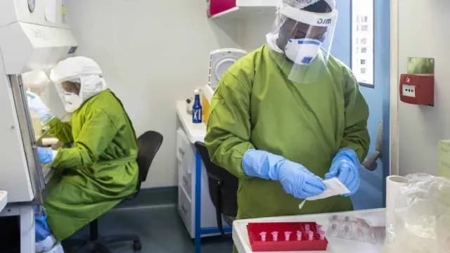 Virus Nipah en el Mundo. Foto: OMS