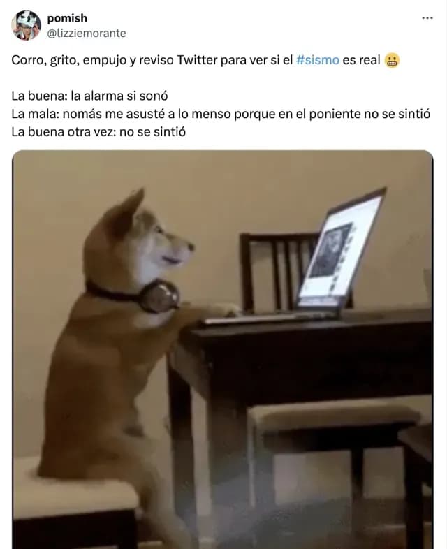 ¿Si no hay memes, de verdad hubo alerta sísmica?