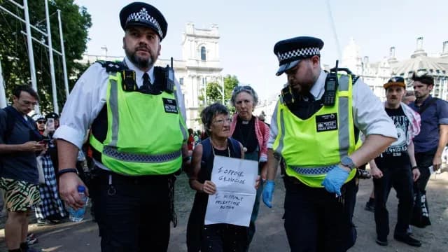 Elementos de la Met Police se llevan a personas con carteles de apoyo a Acción Palestina.