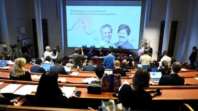 El anuncio de los ganadores del Nobel de Medicina 2024 se dio este lunes en Estocolmo, Suecia. Foto: Reuters