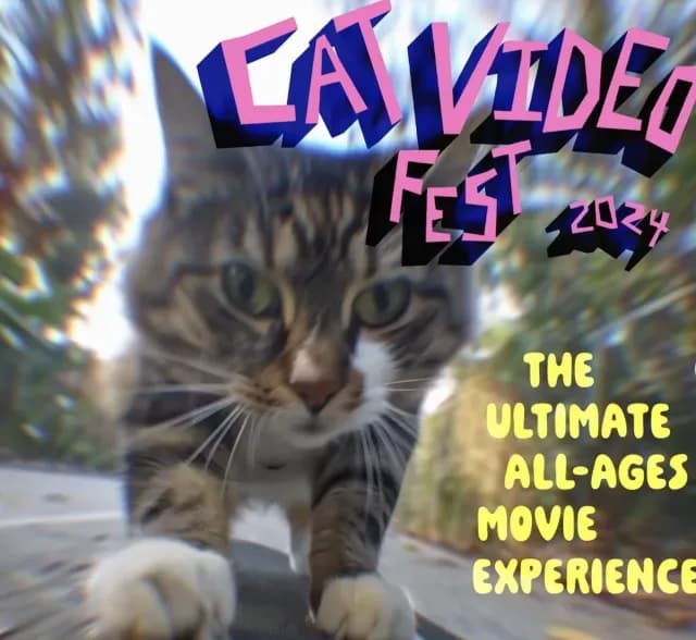 Cartel oficial del Cat Video Fest