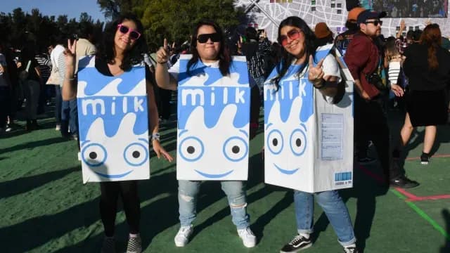 Asistentes al Corona Capital fans de Blur