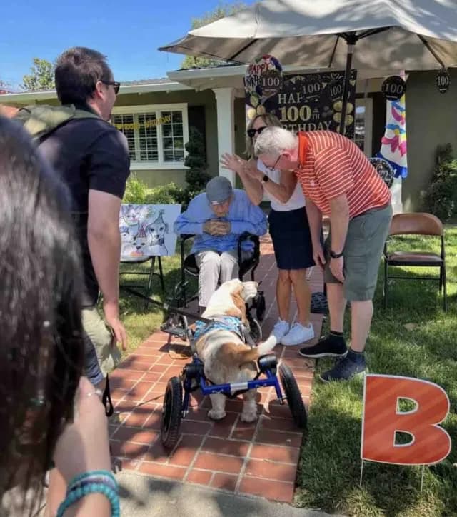 Celebran a abuelito con desfile de perritos