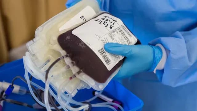 Proponen que gays y homosexuales puedan donar sangre