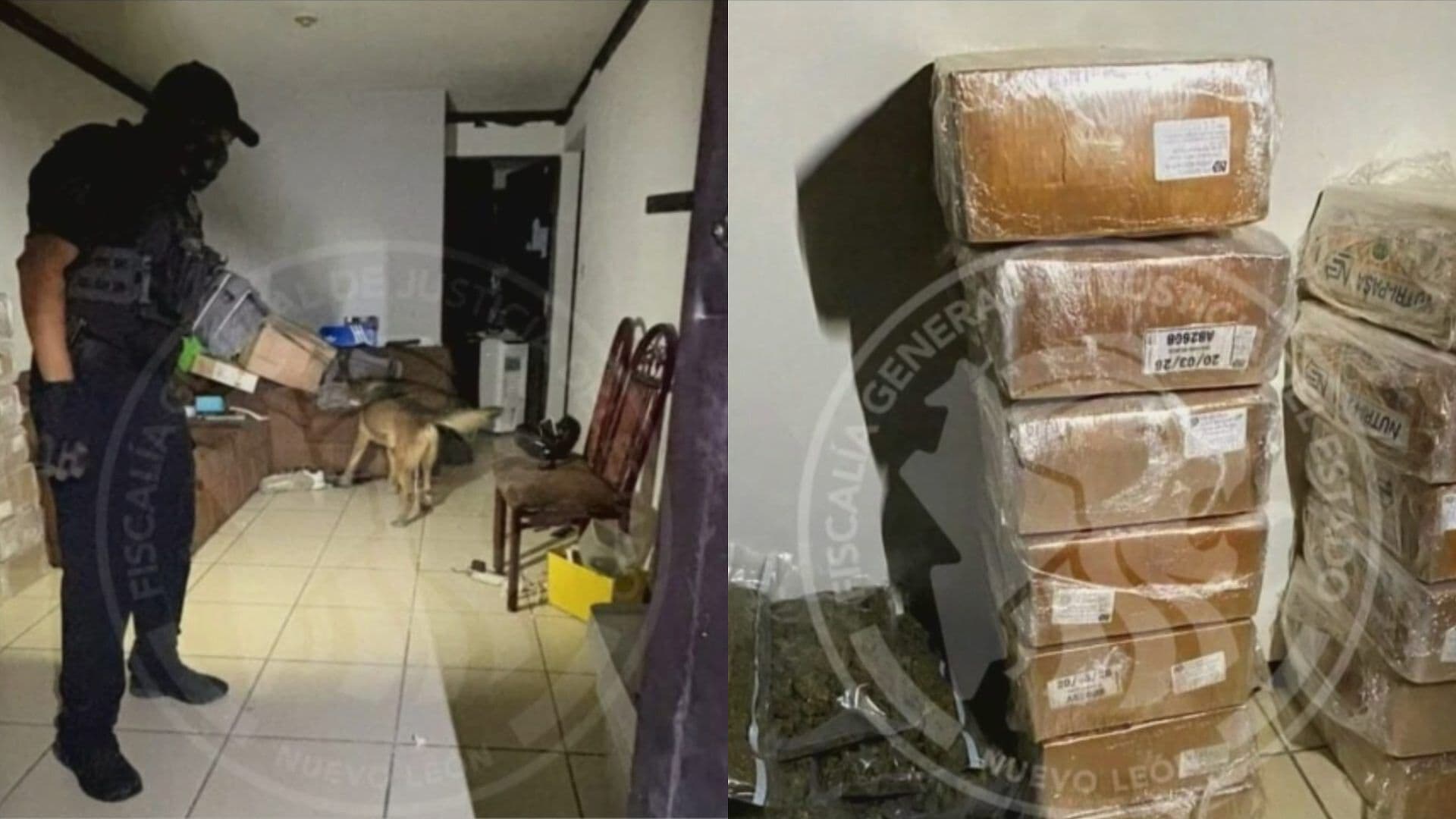 Aseguran Droga y Vehículos Durante Cateo en Colonia Privadas del Sauce en Escobedo, Nuevo León