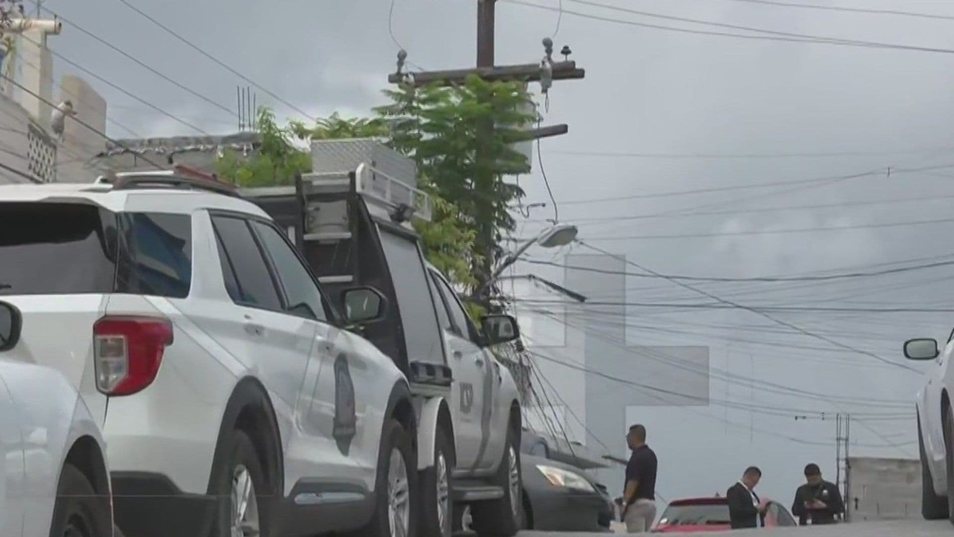 Catean Casa Donde Se Encuentra a Mujer Muerta en Col. Burócratas Municipales en Monterrey