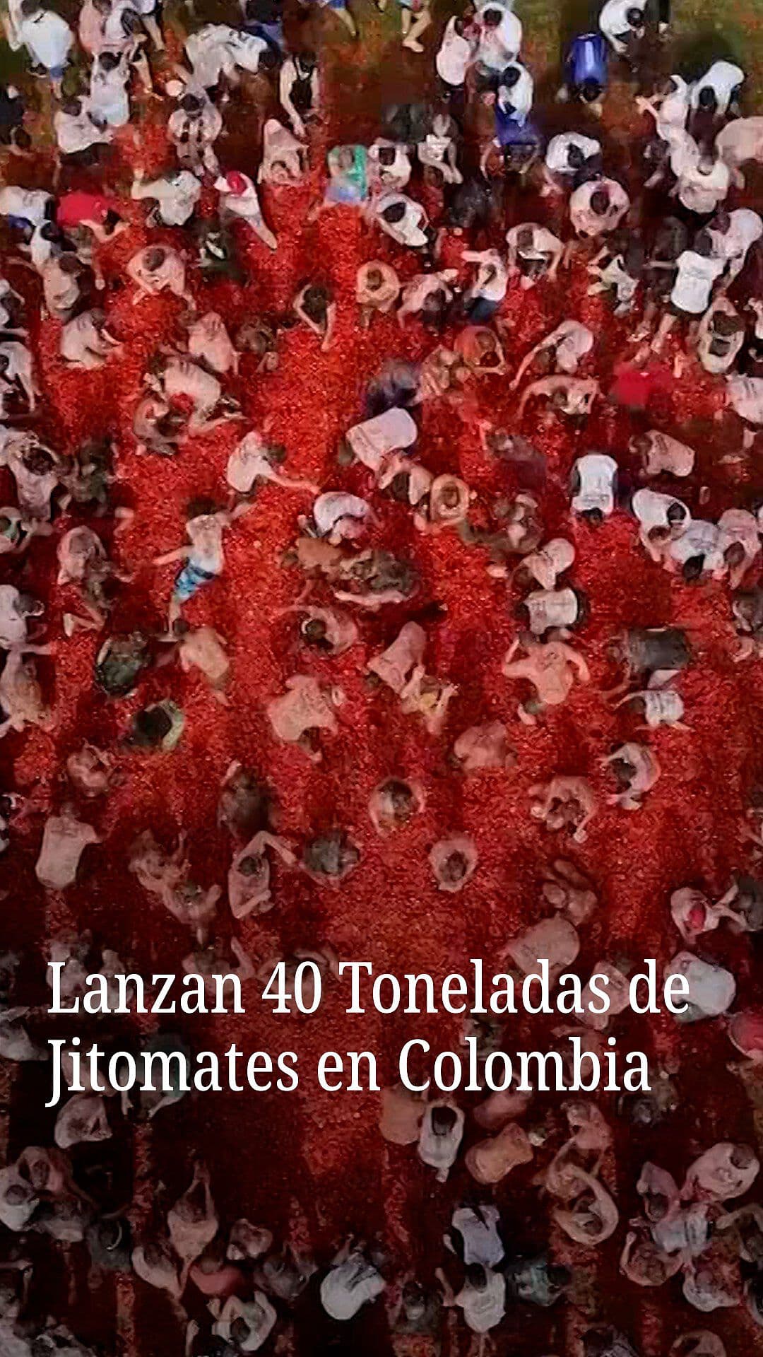 Lanzan 40 Toneladas de Jitomates en Colombia